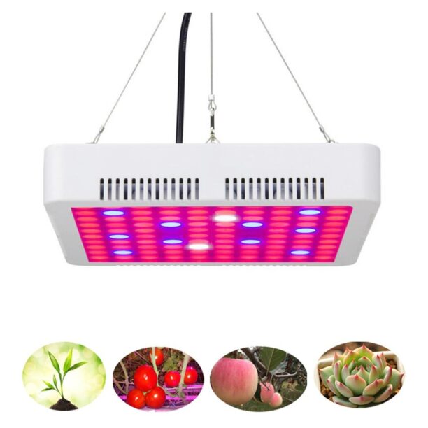 Painel Led Grow 1000w Full Spectrum Cultivo Indoor