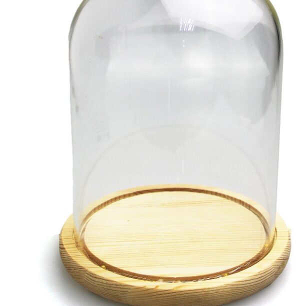 Redoma De Vidro Bolinha Decorativo 9x20cm