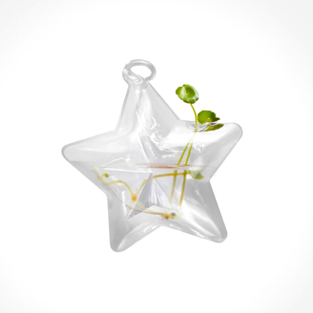 Vaso De Vidro P/ Água Estrela