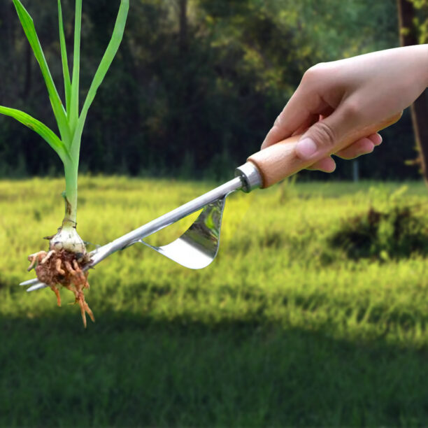Extrator de Ervas Daninhas Para Jardinagem BD-GW011A
