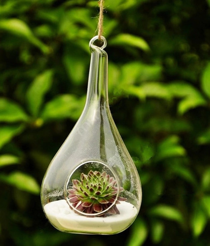 Decoração Vidros Para Pendurar Gota Suspensos Terrário