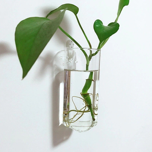 Vidro Hidropônico Vaso De Flores Decoração De Parede