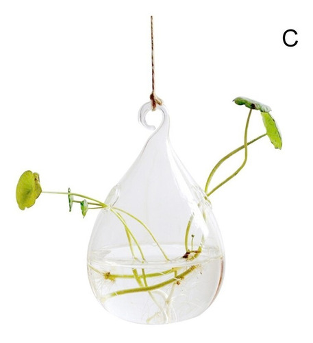 Vaso De Planta Hidropônica Desktop Vidro Transparente