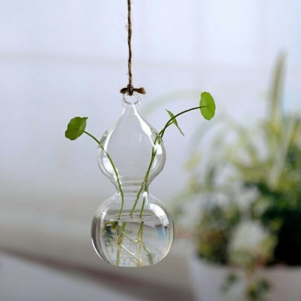 Bola De Vidro Para Pendurar Vaso Flor Planta Terrário
