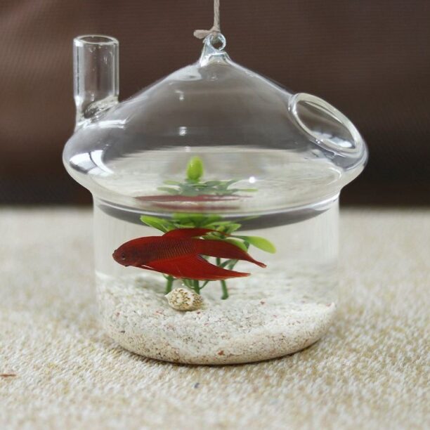 Enfeite Jardim Cogumelo Enfeite Vidro Vaso Terrário